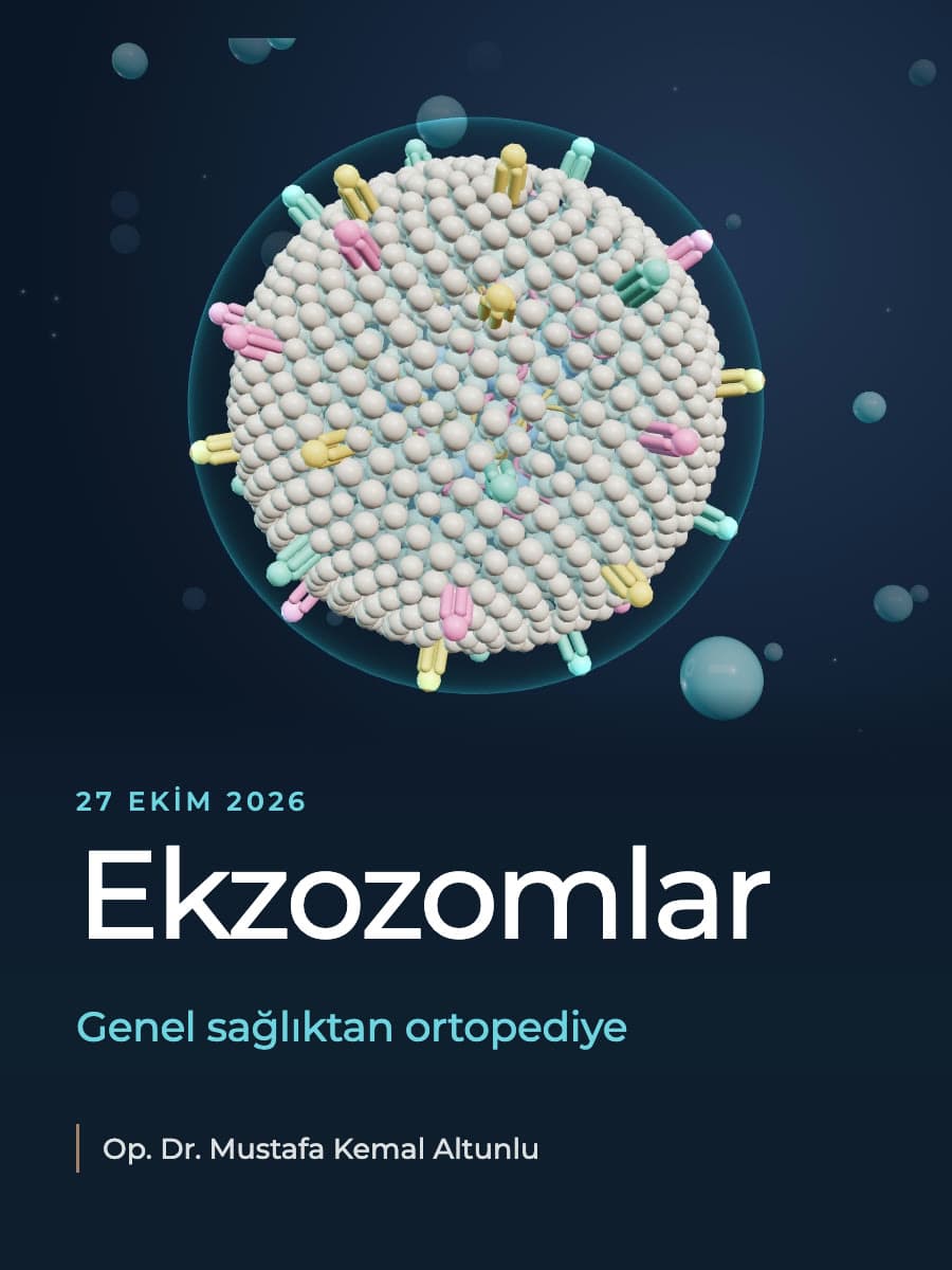 İnteraktif 3D sunum — kapak görseli
